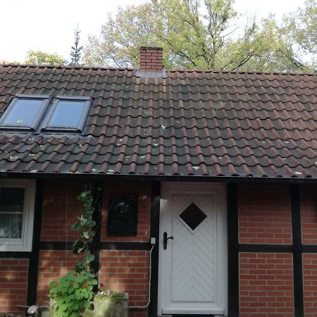 Ferienhaus In Rumke Bippen Exteriér fotografie