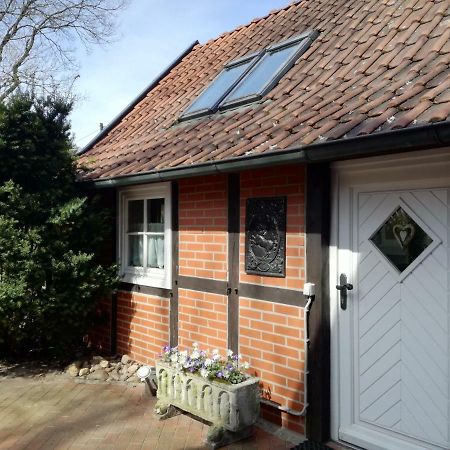 Ferienhaus In Rumke Bippen Exteriér fotografie